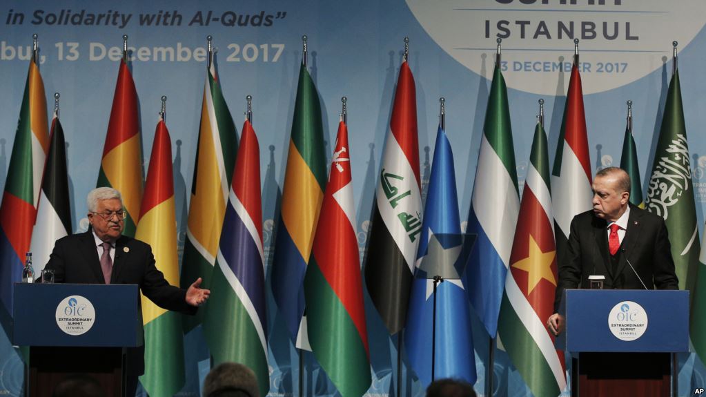 Turkey OIC Summit Dec 17